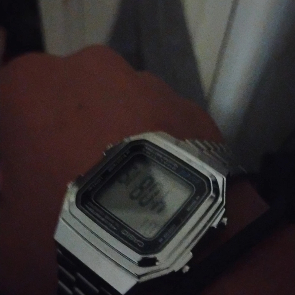 Casio Metallic Digital Timepiece